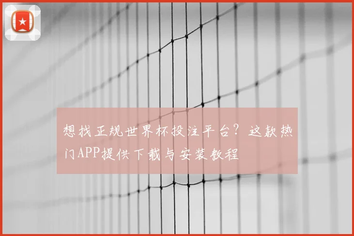 想找正规世界杯投注平台？这款热门APP提供下载与安装教程